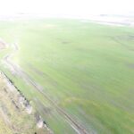 DJI 0014 1024x768 1