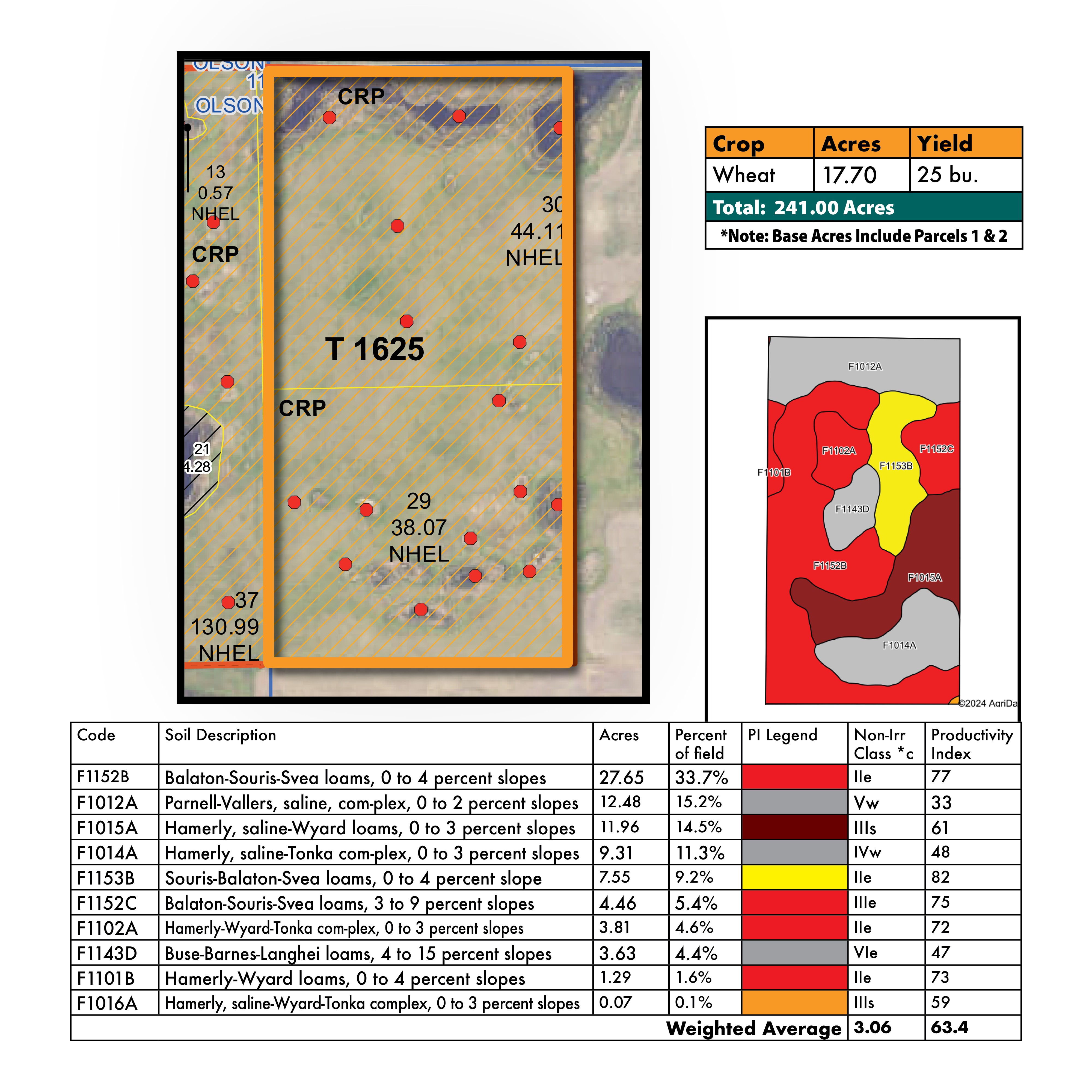 Reed FSA Soils P1