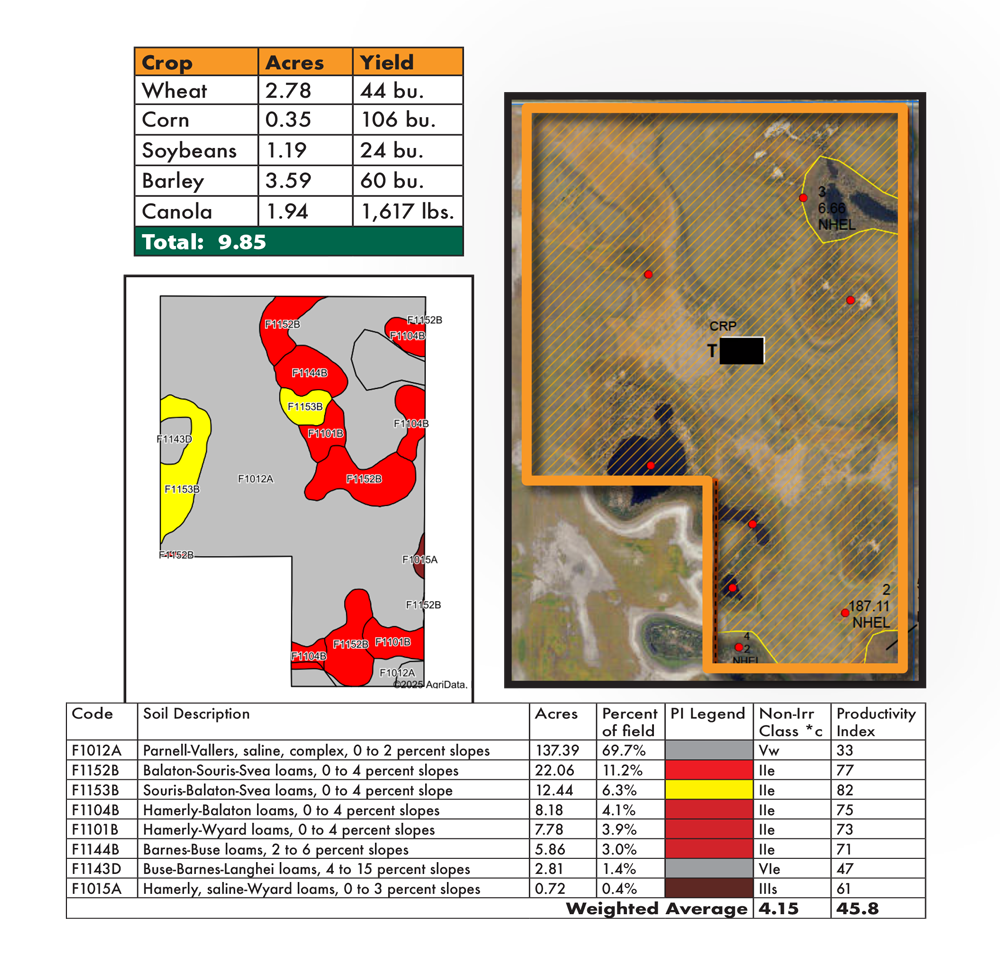 Rinas FSA Soils Map NEW