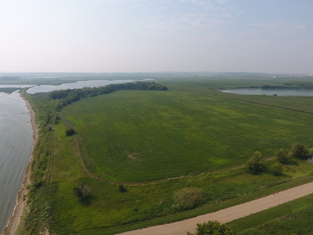 DJI 0001