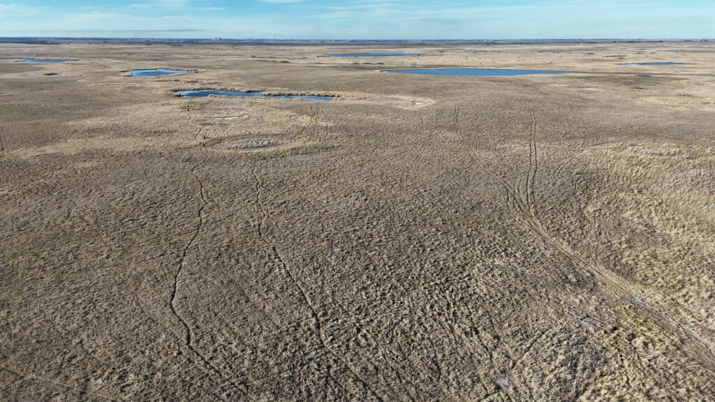 DJI 20251123141311 0028 D