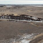 DJI 20260324173110 0011 D