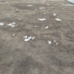 DJI 20260324173258 0019 D