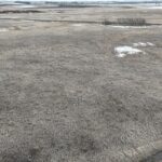 DJI 20260324173425 0026 D