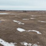 Lindgren, Lona (20)
