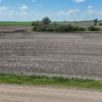 DJI 20260609140128 0013 D