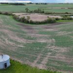 DJI 20260618175530 0001 D