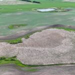 DJI 20260618175934 0005 D