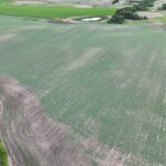 DJI 20260618175957 0008 D