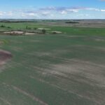 DJI 20260618180028 0010 D