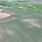 DJI 20260618180043 0011 D