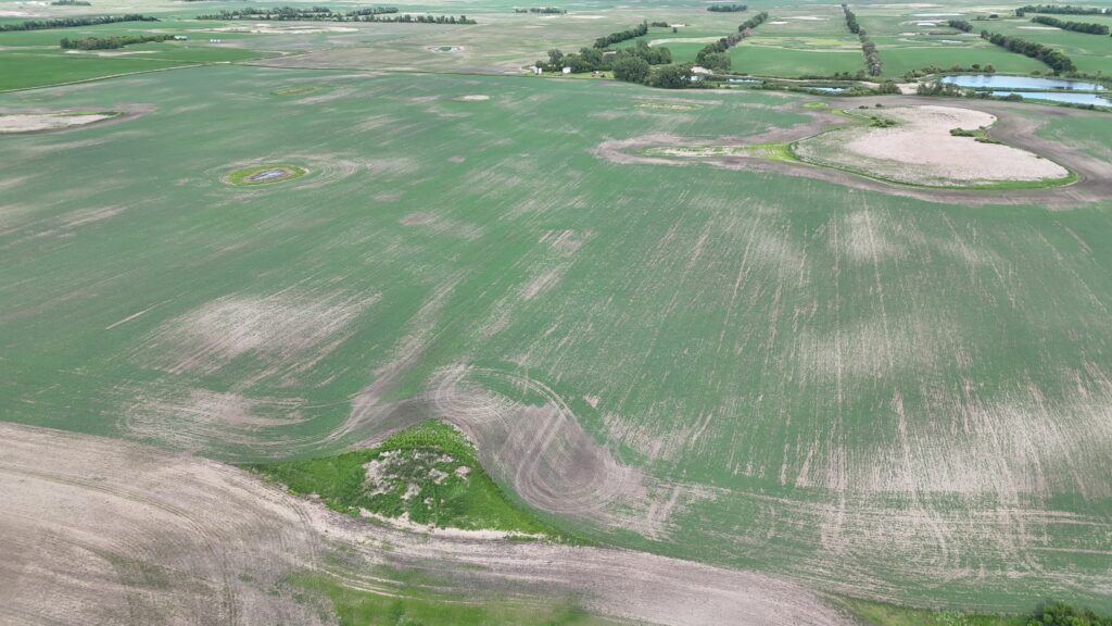 DJI 20260618180117 0018 D