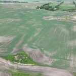 DJI 20260618180117 0018 D