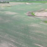 DJI 20260618180236 0027 D