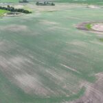 DJI 20260618180245 0029 D