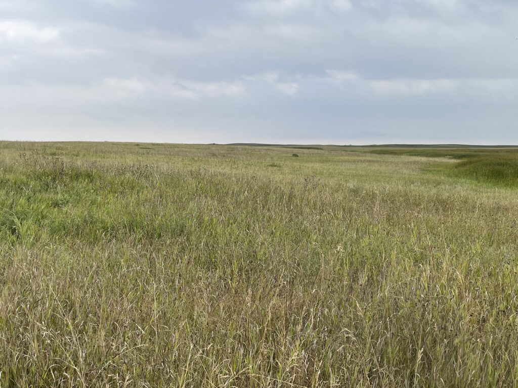 CRP3