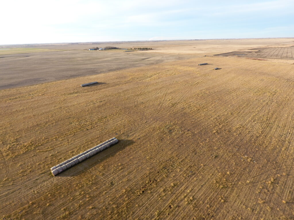 DJI 0069