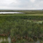 DJI 20260906173144 0002 D