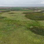 DJI 20260906174002 0024 D