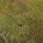 DJI 20260906180638 0063 D