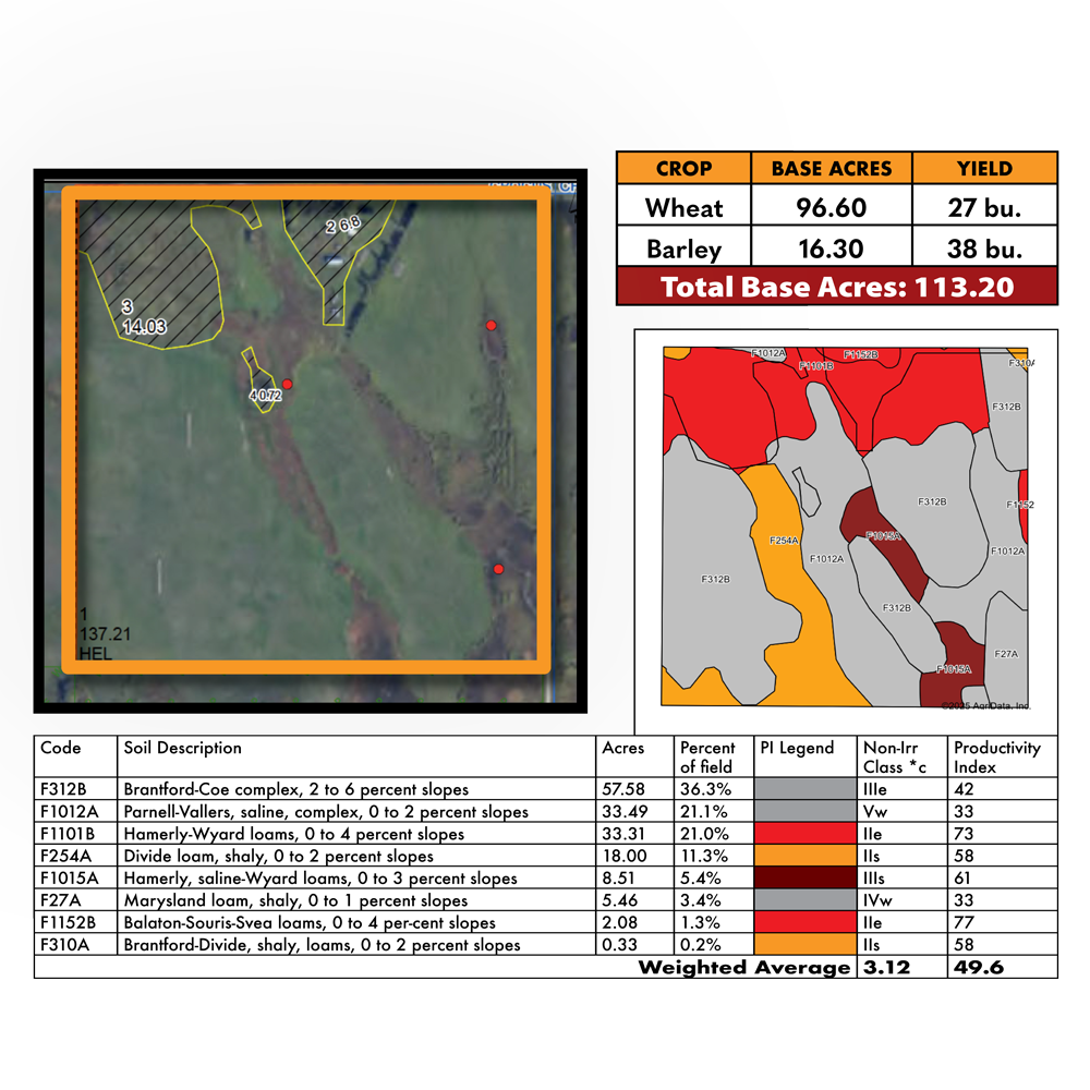 Jauregui Parcel 2 FSA & Soils