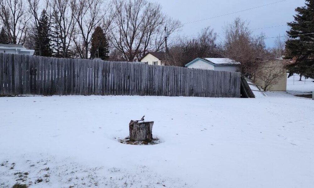 20240109232106241244000000 o