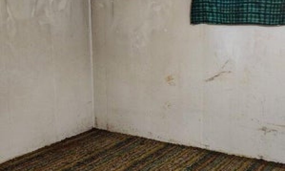 20240109232112501485000000 o