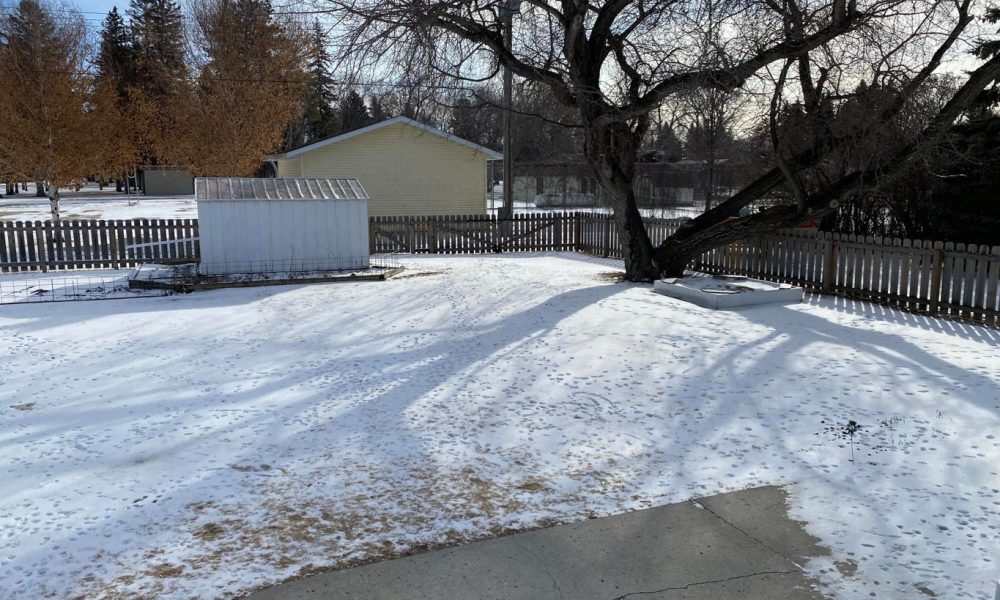 20240229165919744792000000 o