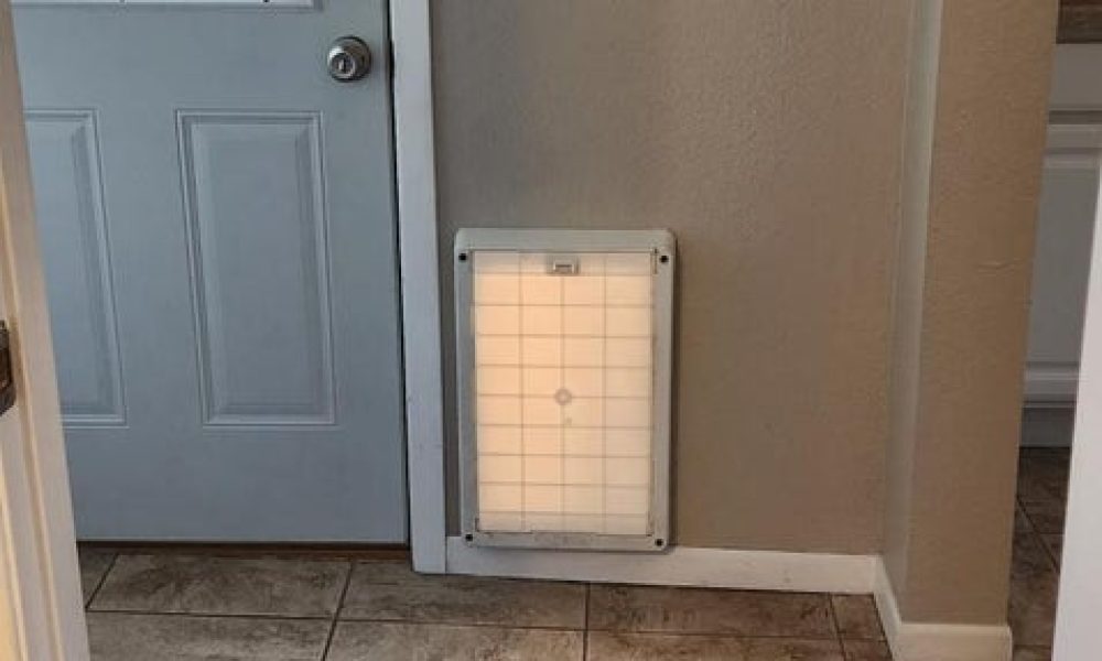 20241221233019221857000000 o