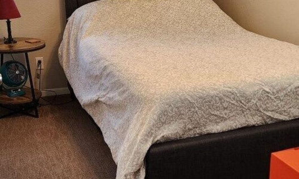 20241221233020330488000000 o