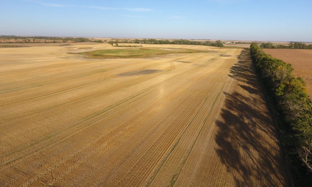 DCIM100MEDIADJI 0003.JPG