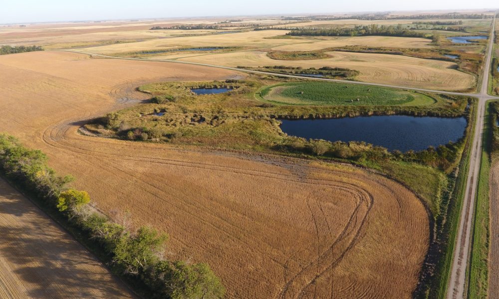 DCIM100MEDIADJI 0012.JPG