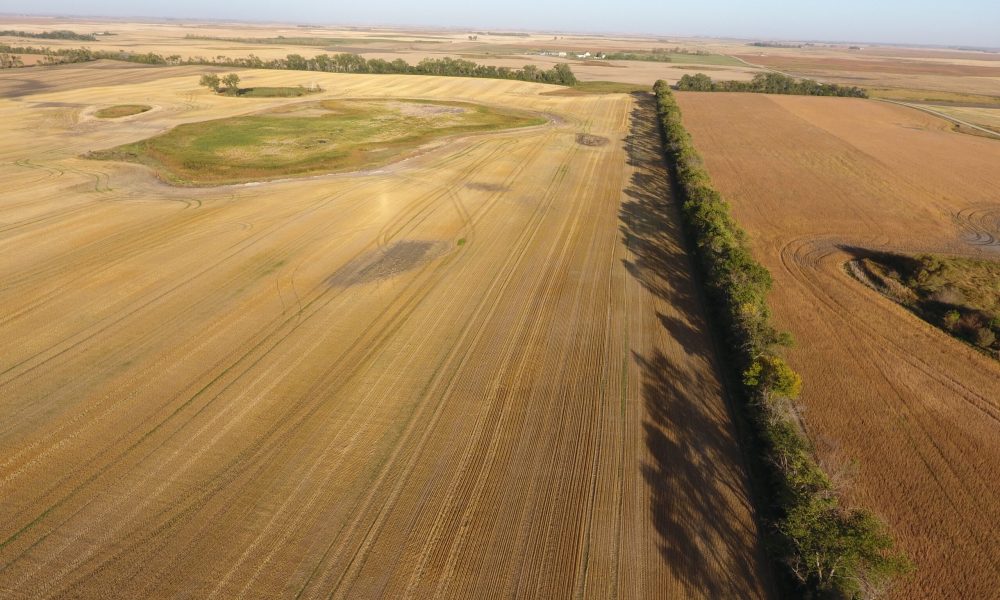 DCIM100MEDIADJI 0013.JPG