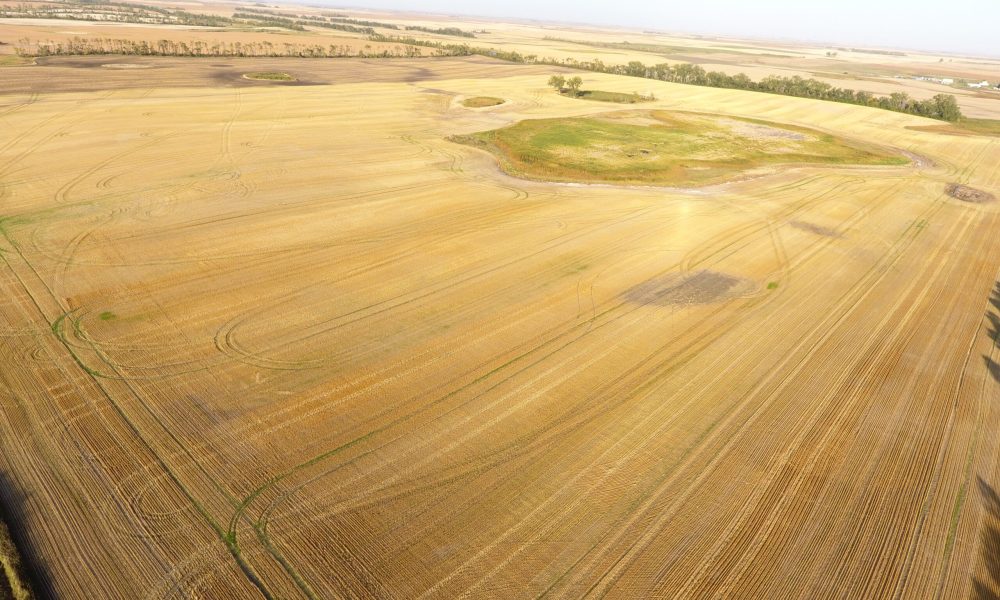 DCIM100MEDIADJI 0014.JPG