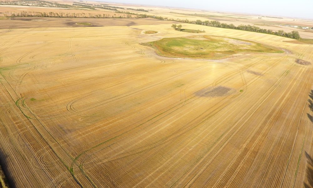 DCIM100MEDIADJI 0015.JPG