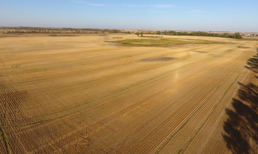 DCIM100MEDIADJI 0001.JPG