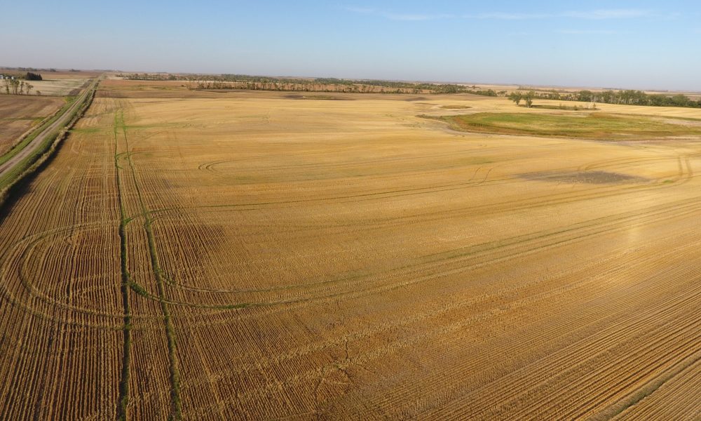 DCIM100MEDIADJI 0002.JPG