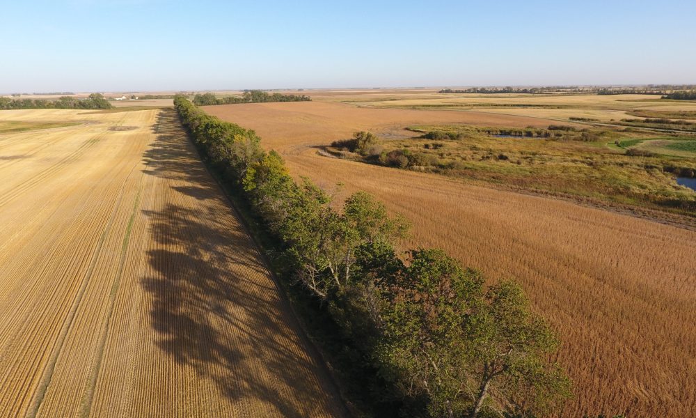 DCIM100MEDIADJI 0004.JPG