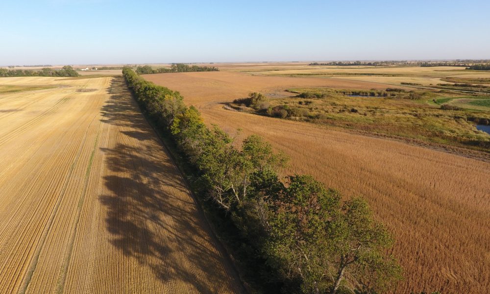 DCIM100MEDIADJI 0004.JPG