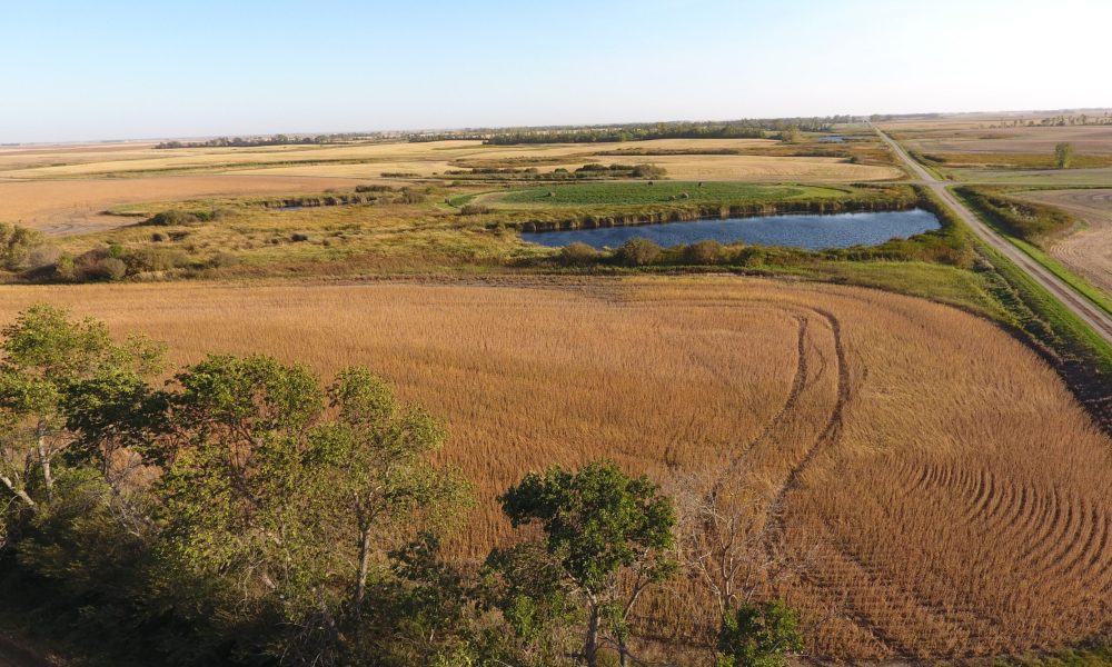 DCIM100MEDIADJI 0005.JPG