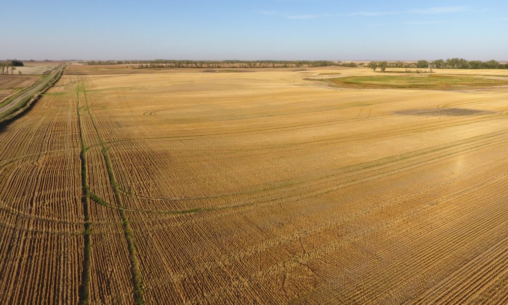 DCIM100MEDIADJI 0007.JPG