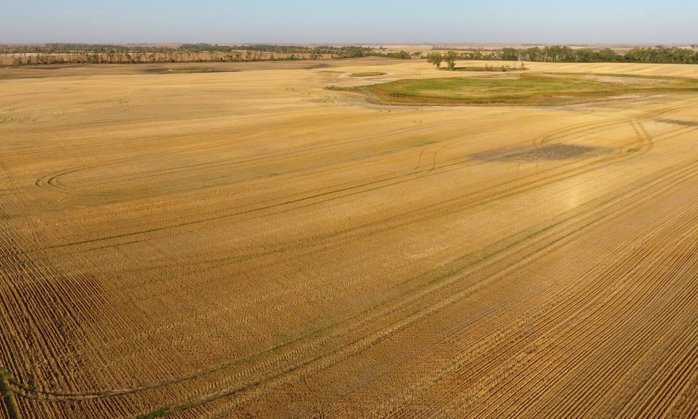 DCIM100MEDIADJI 0008.JPG