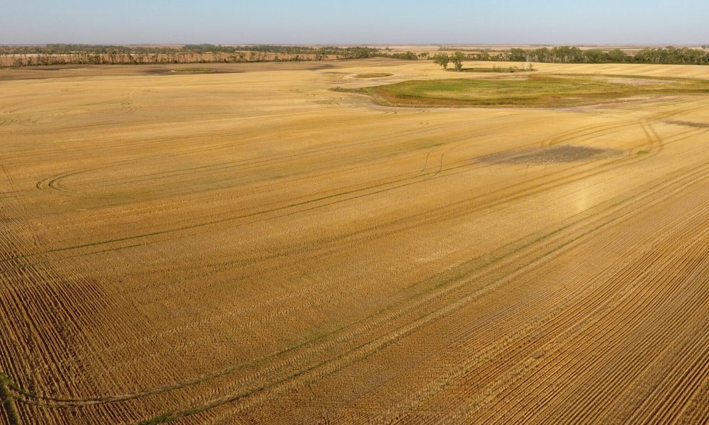 DCIM100MEDIADJI 0008.JPG