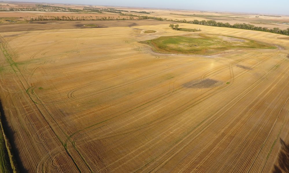 DCIM100MEDIADJI 0009.JPG