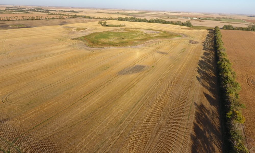 DCIM100MEDIADJI 0010.JPG