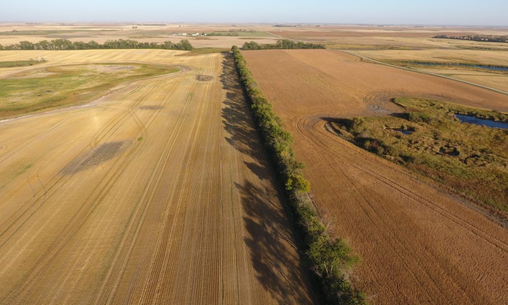 DCIM100MEDIADJI 0011.JPG