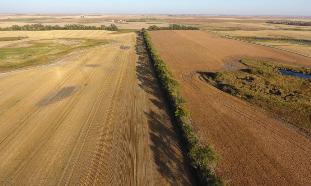 DCIM100MEDIADJI 0011.JPG