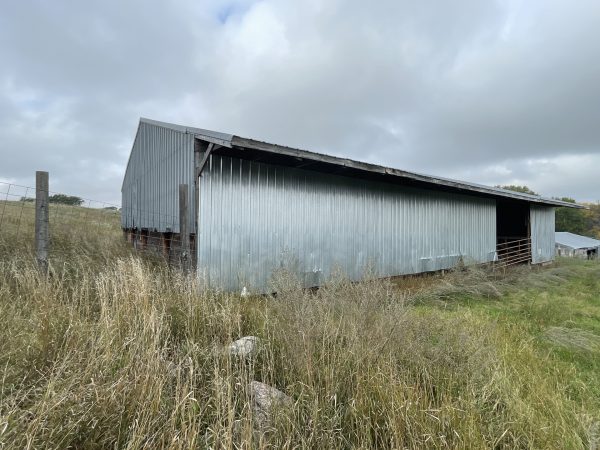 Calving Barn 5