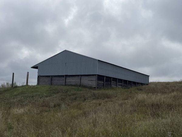 Calving Barn 6