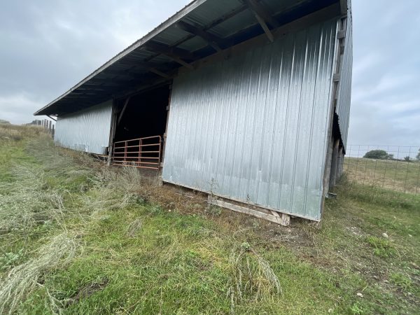 Calving Barn 7